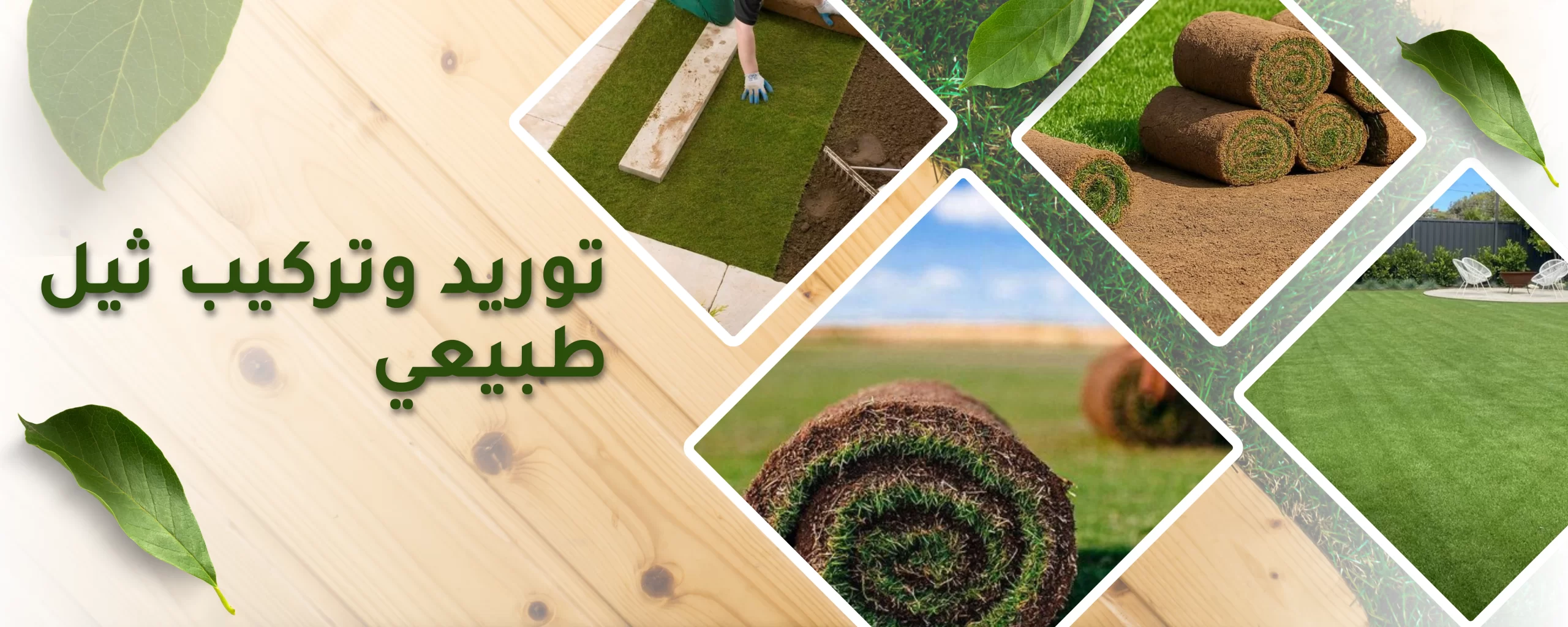 زراعة وتوريد ثيل طبيعي C2000 - مشروع 60